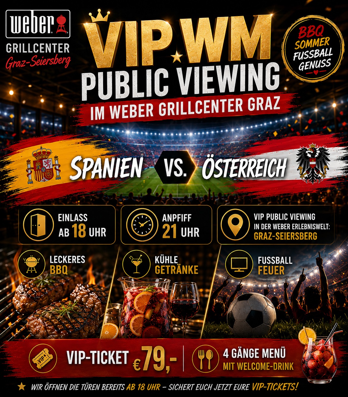 GAO_189 - Eintrittskarte: WM Public Viewing (Spanien-&Ouml;sterreich)