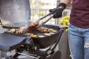 51010379 - Weber Q 1200 Gasgrill mit Stand - Black