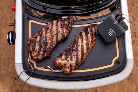3202 - Weber Connect Smart Grilling Hub