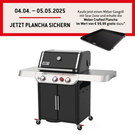 35310079 - Weber Genesis E-325S Black