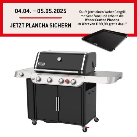 36410079 - Weber Genesis E-435 Black