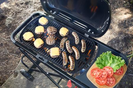 1501746 - Weber Traveler Gasgrill (2026)