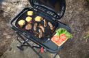 1501751 - Weber Traveler Compact Gasgrill (2026)