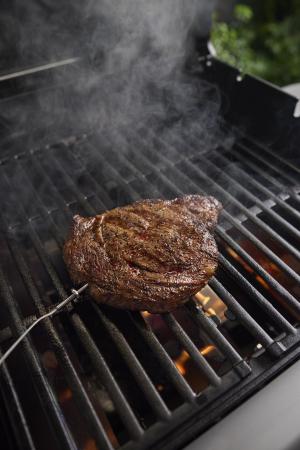 3400321 - Weber Messf&uuml;hler f&uuml;r Grillgut (2026)