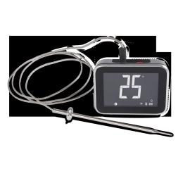 3400624 - Weber Smart Hub Display - Basisstation